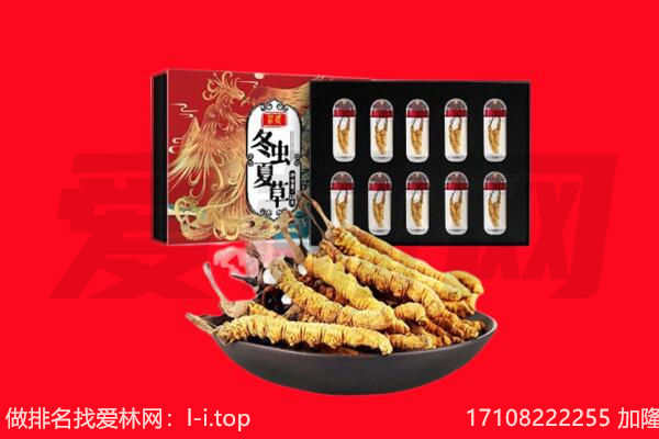 无锡市锡山回收虫草.jpg